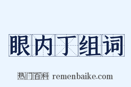 眼内丁组词是什么意思的图片